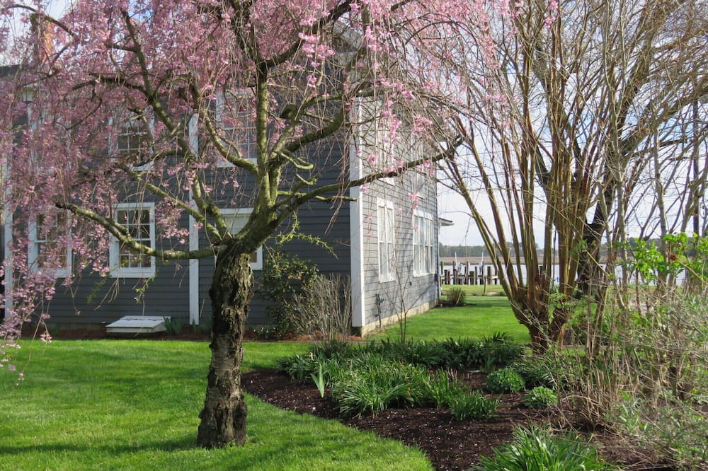 Photo of Outdoor in Whitehaven