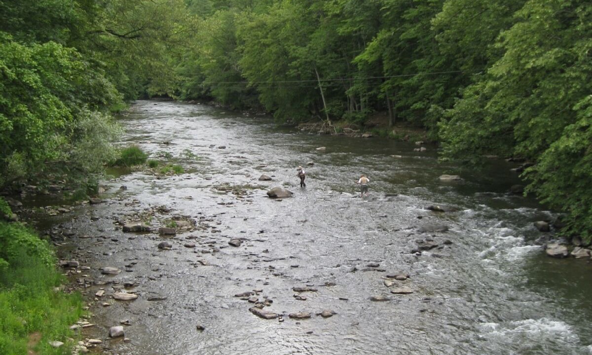 Photo of Others in Woodward