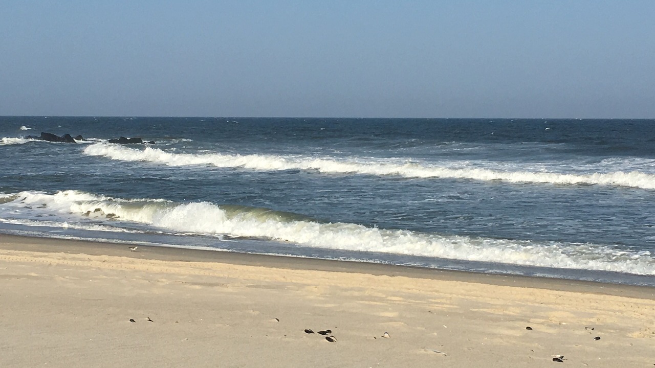Photo of Others in Bradley Beach