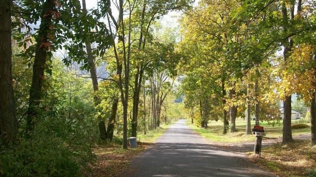 Photo of Outdoor in Robertsdale