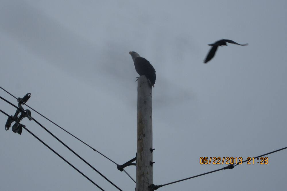 Photo of Outdoor in Frankford