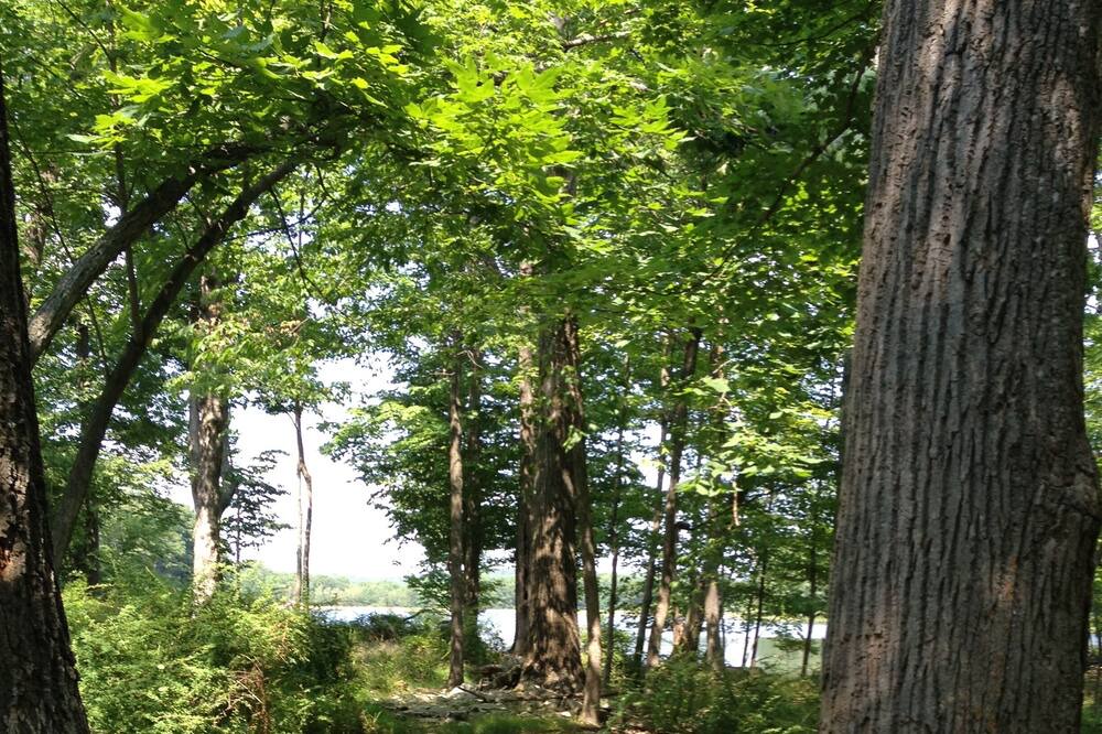 Photo of Outdoor in Pocono Mountain Lake