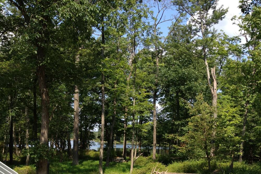Photo of Others in Pocono Mountain Lake
