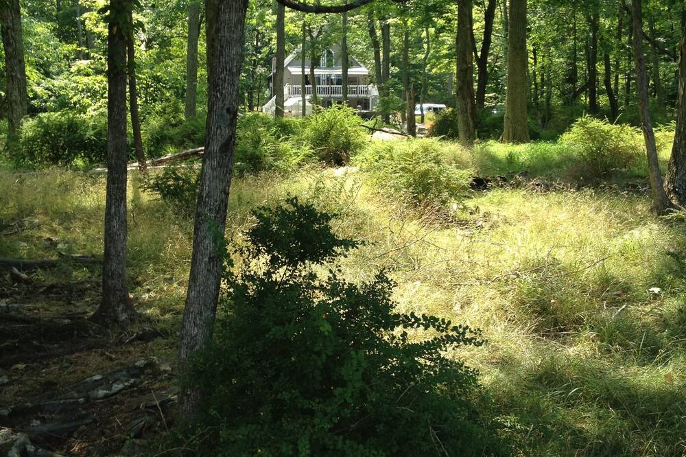 Photo of Outdoor in Pocono Mountain Lake