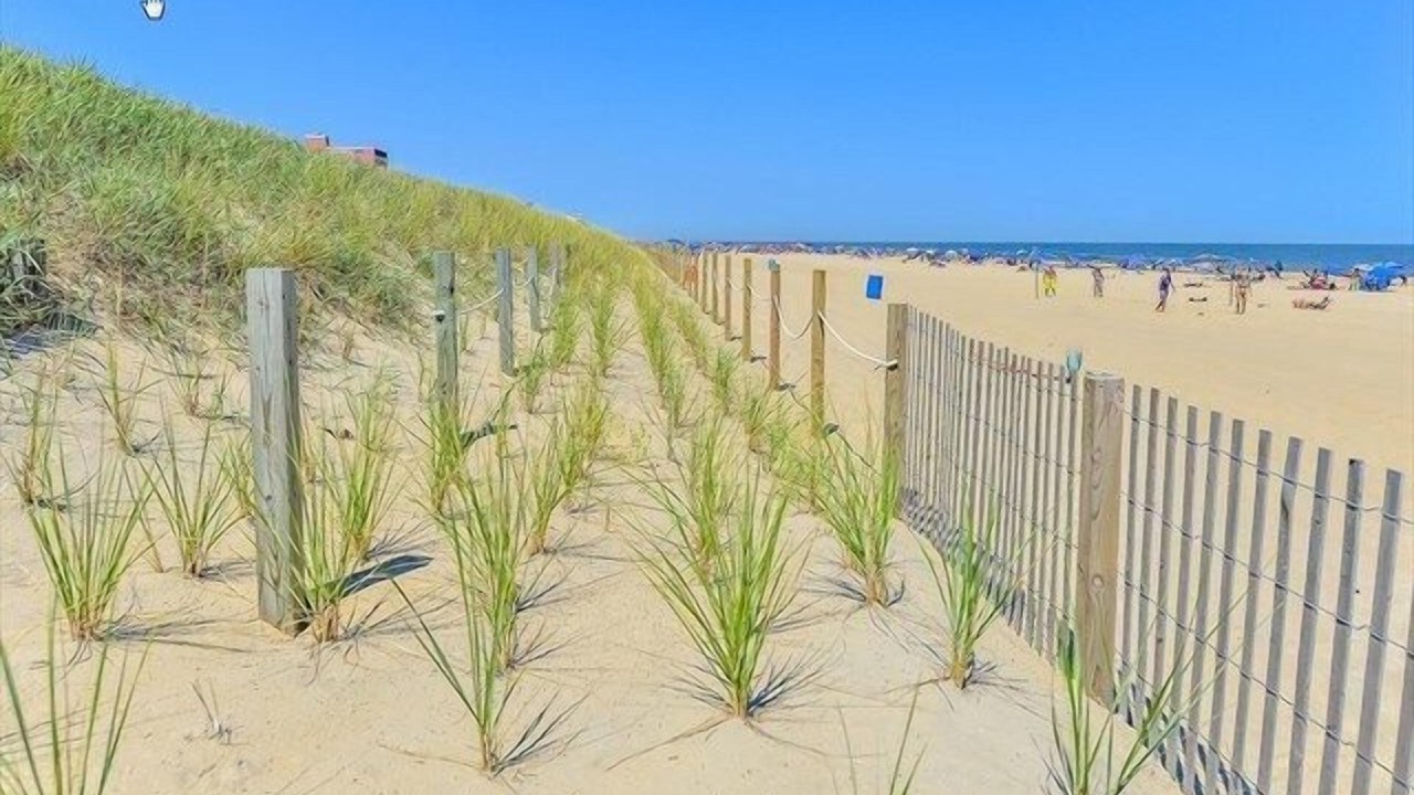 Photo of Others in Midtown Ocean City