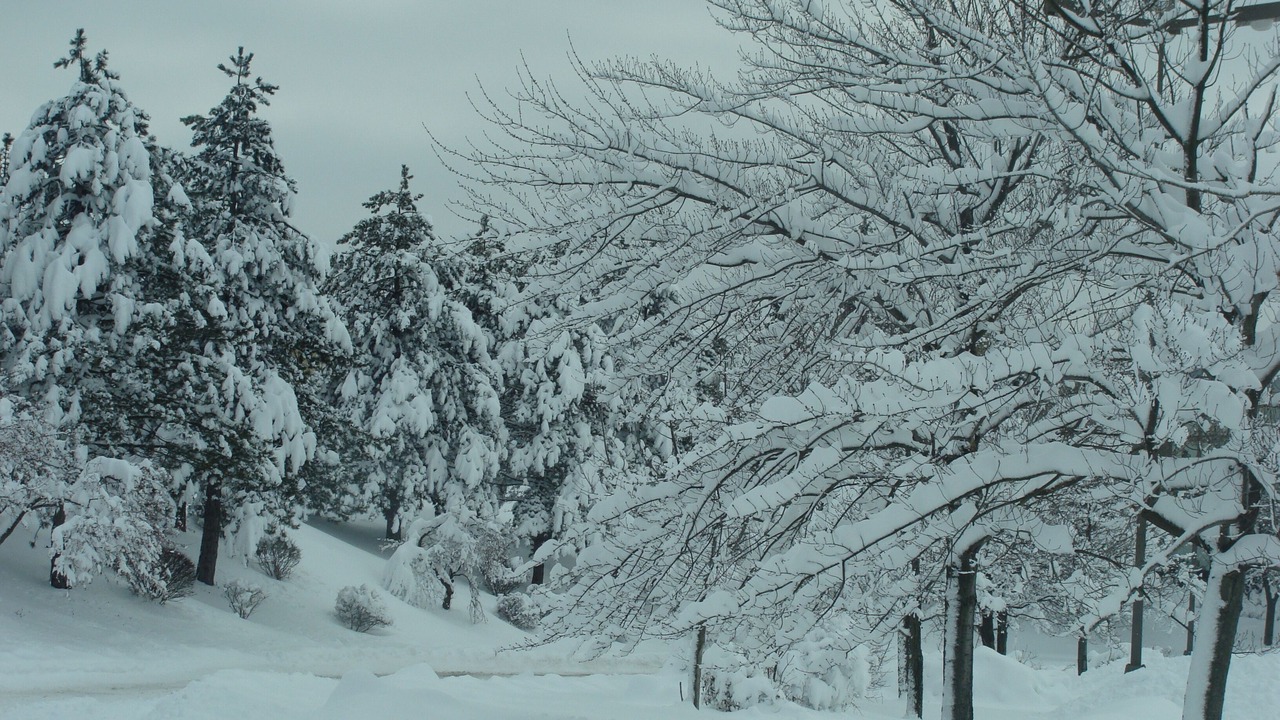 Photo of Others in Seven Springs