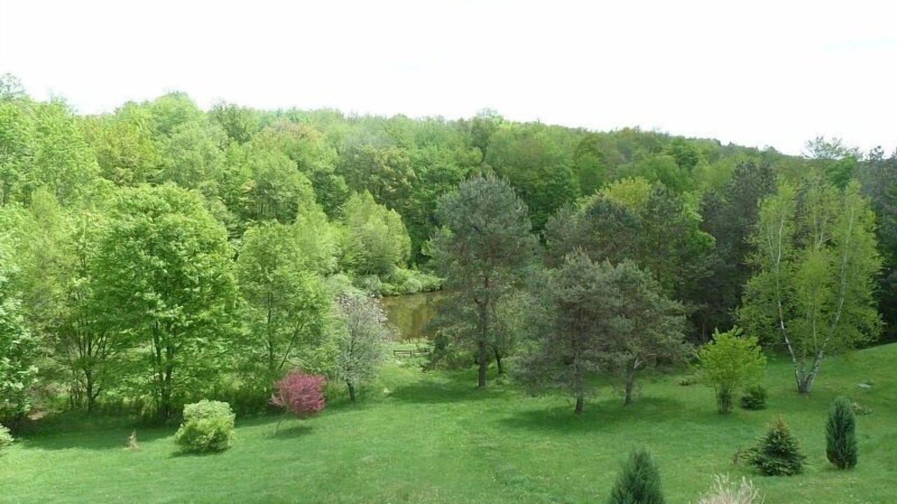 Photo of Outdoor in Galilee