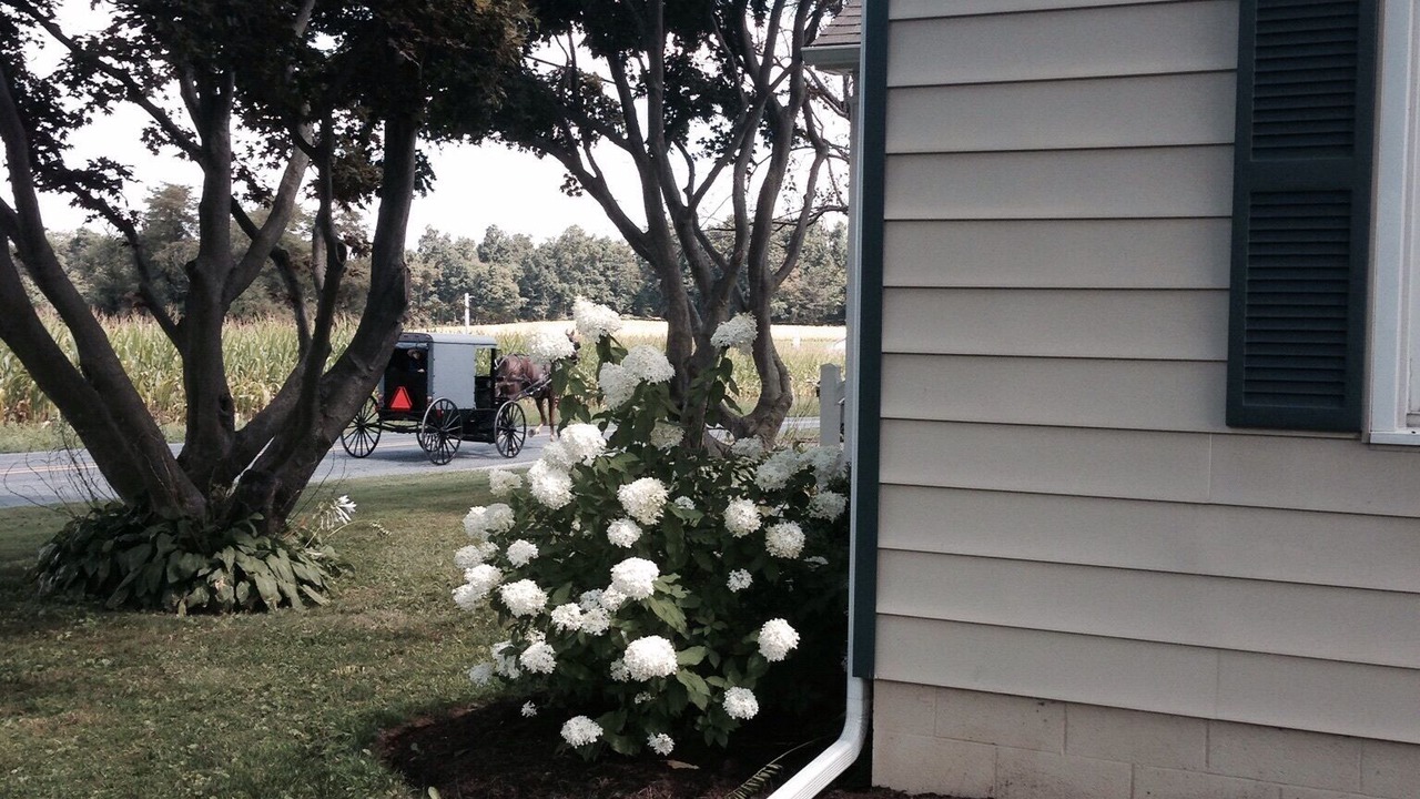 Photo of Outdoor in Quarryville