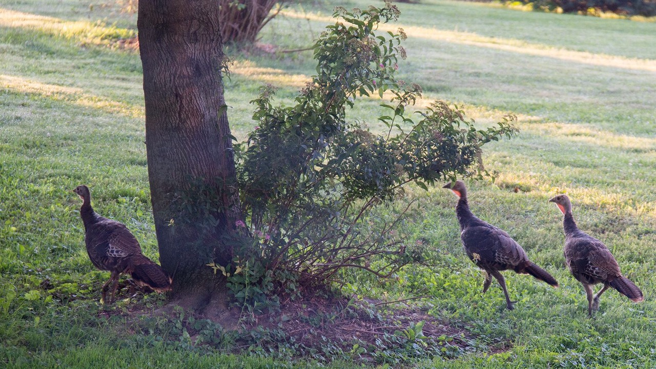 Photo of Outdoor in Quarryville