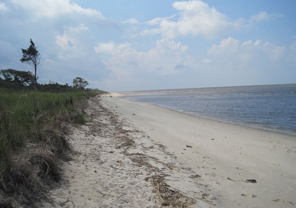 Photo of Others in Del Haven