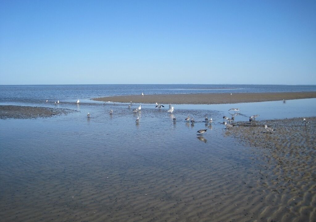 Photo of Others in Del Haven
