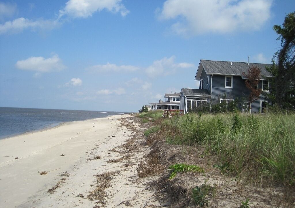 Photo of Others in Del Haven
