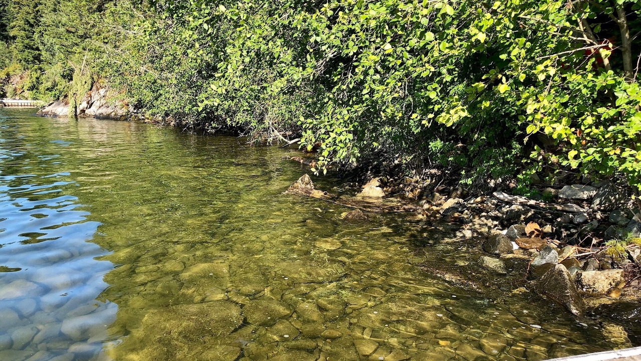 Photo of Outdoor in Sandpoint