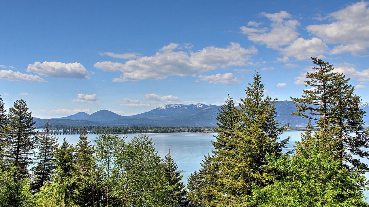 Photo of Others in Sandpoint