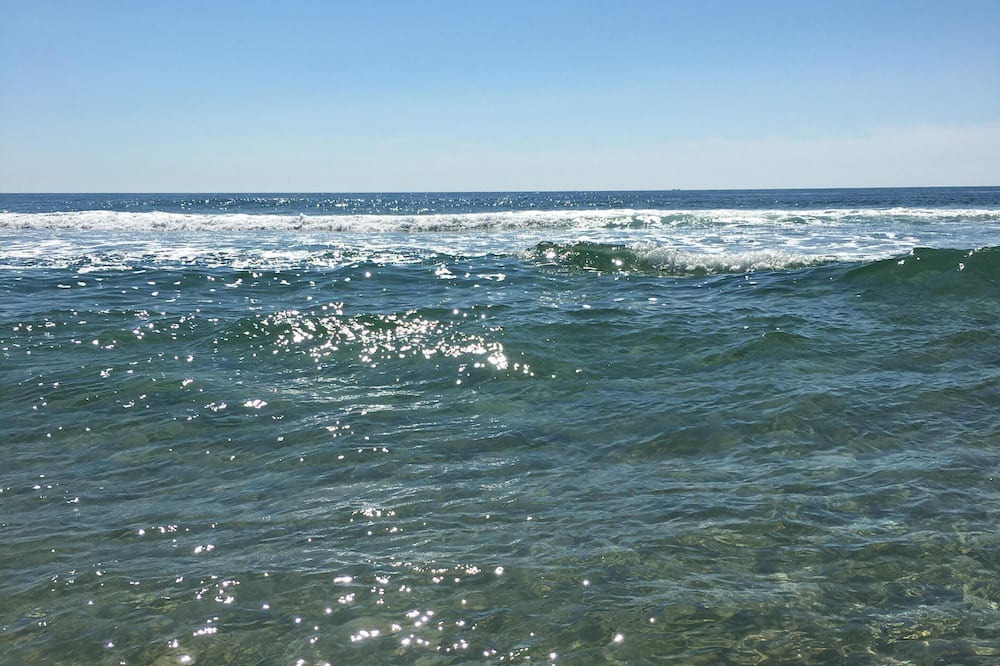 Photo of Others in Beach Haven Terrace