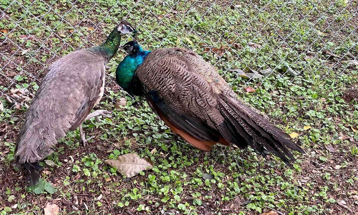 Photo of Outdoor in Warwick