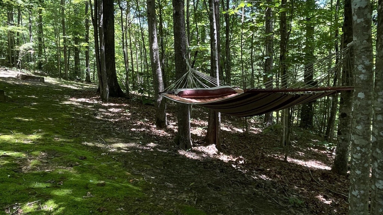 Photo of Outdoor in Oneida