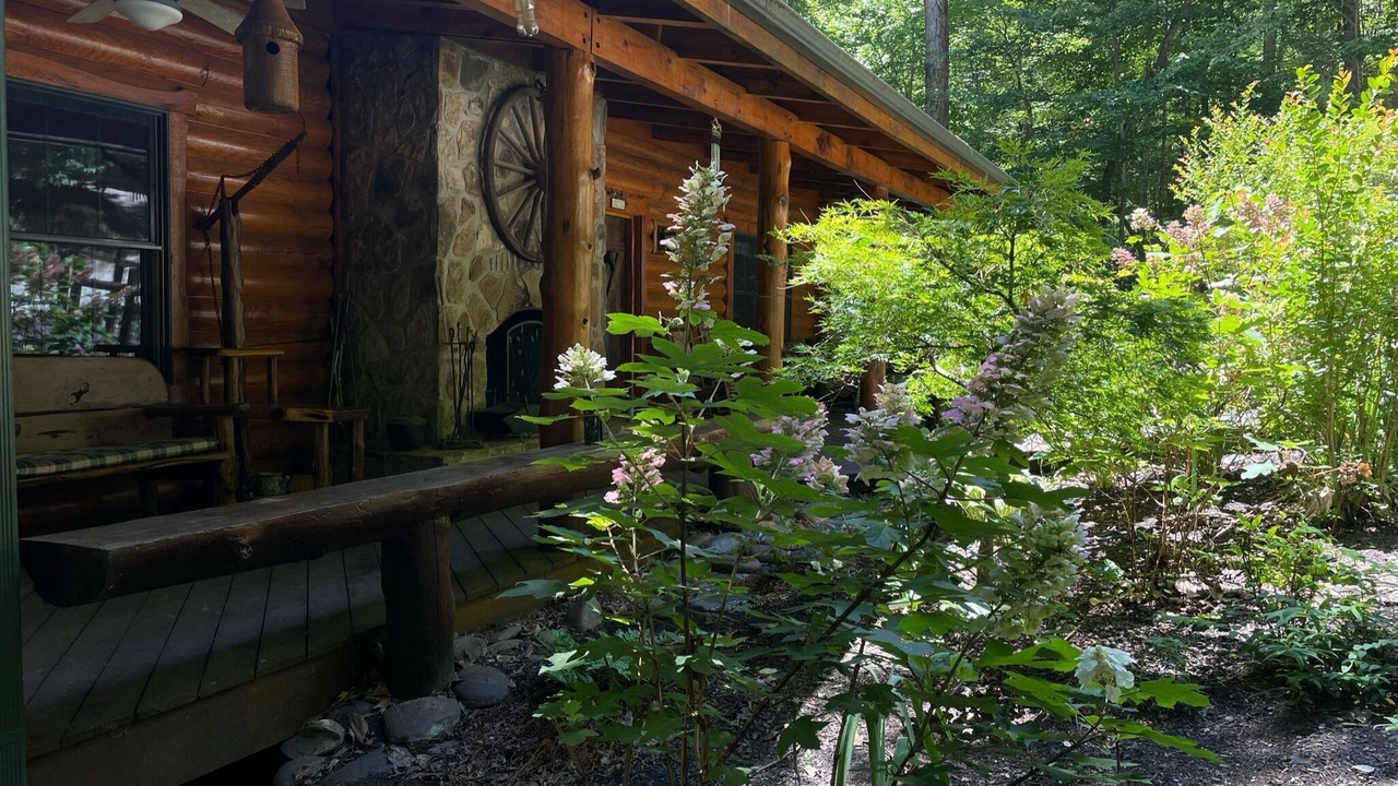Photo of Outdoor in Oneida