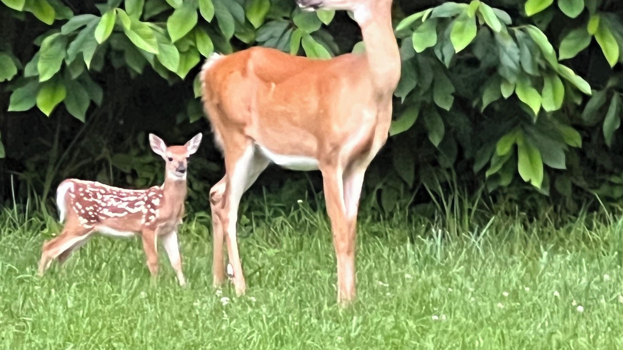 Photo of Others in Caldwell