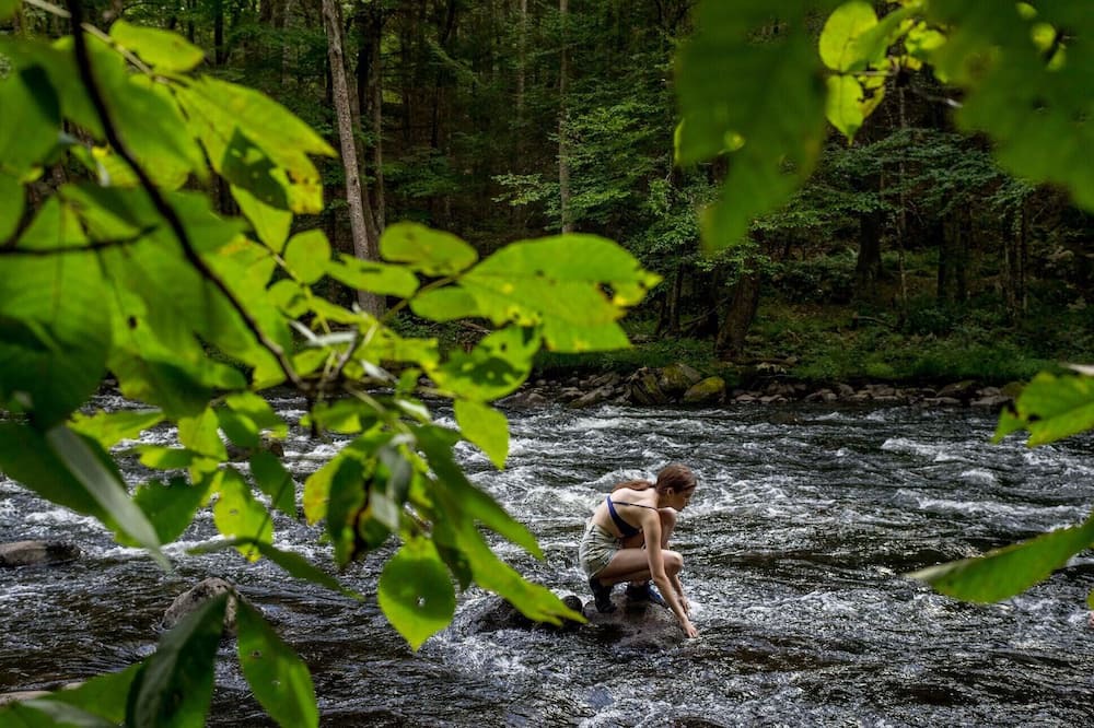 Photo of Others in Glen Spey