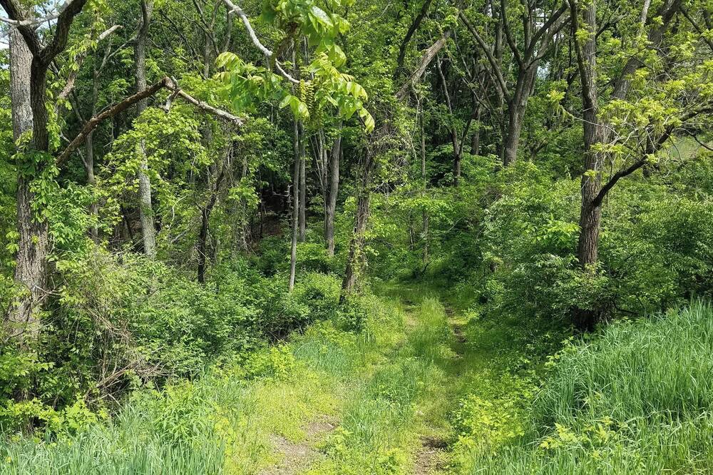 Photo of Outdoor in Herndon
