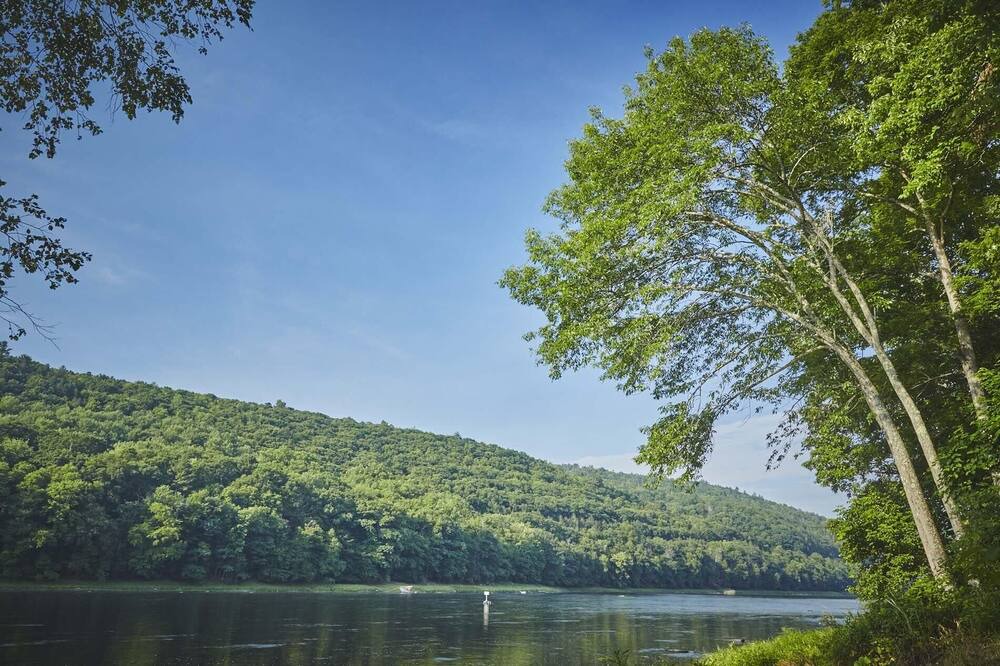 Photo of Others in Pond Eddy