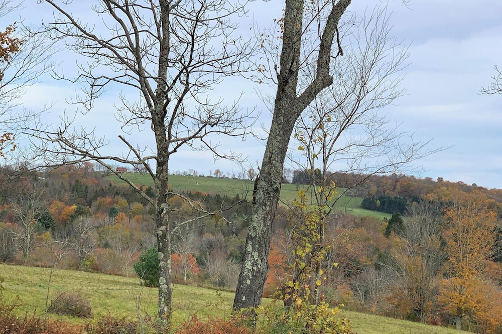 Photo of Others in Town of Delaware