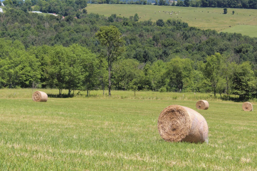 Photo of Others in Town of Delaware