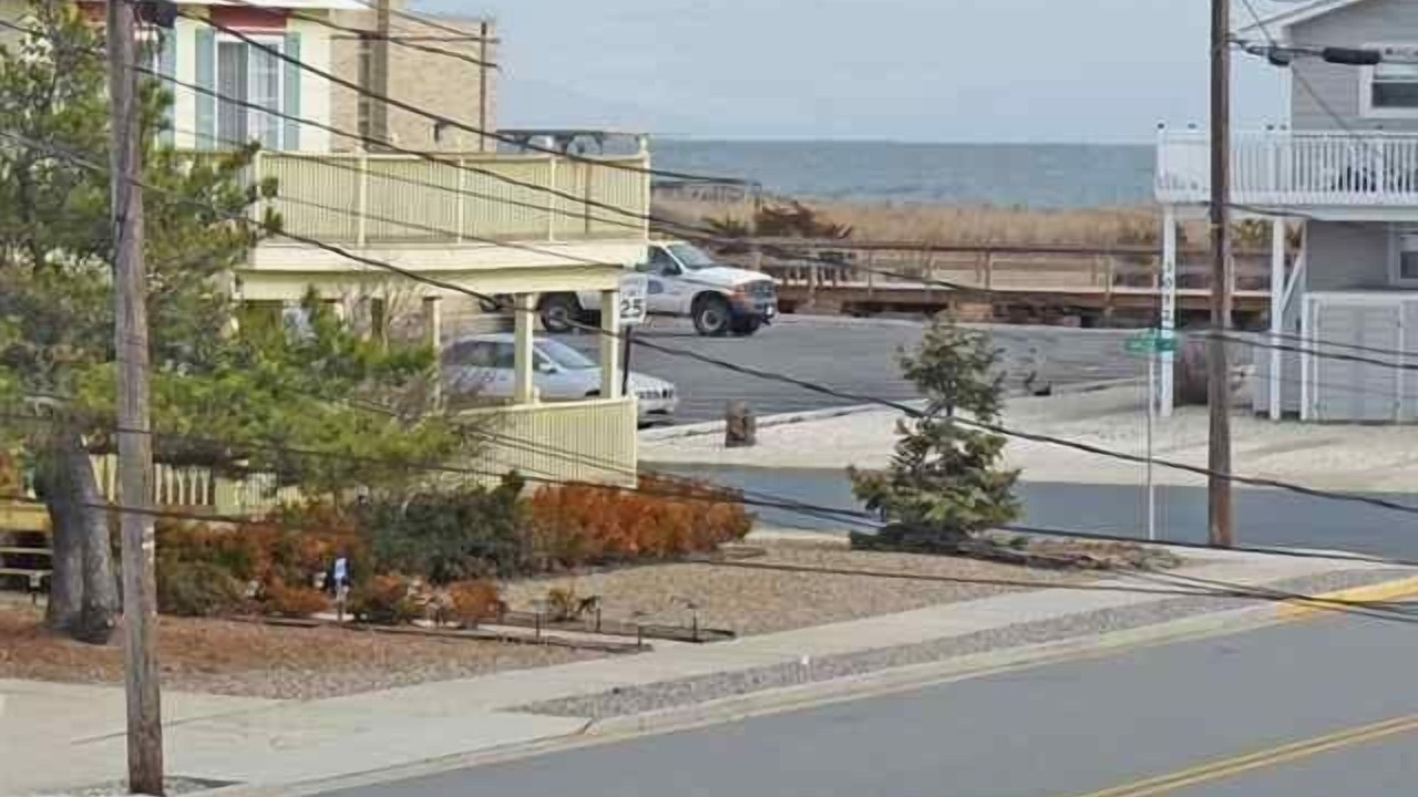 Photo of Others in Avalon