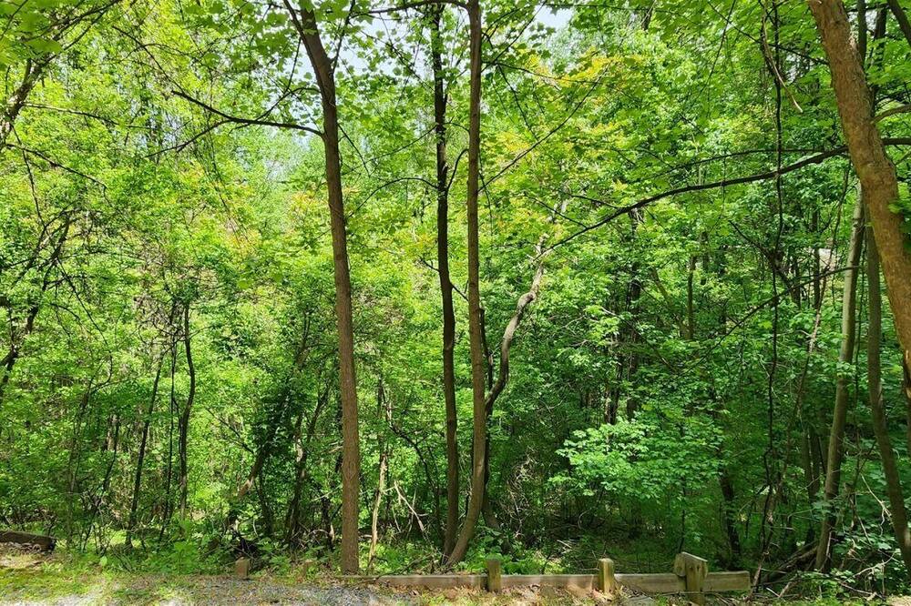 Photo of Outdoor in Stanley