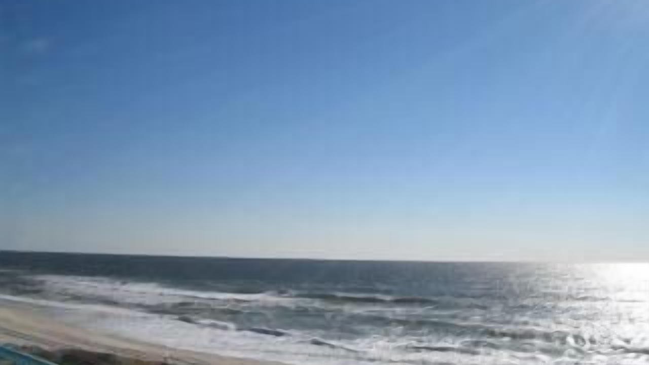Photo of Others in Harvey Cedars
