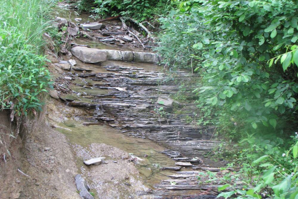 Photo of Outdoor in Dailey