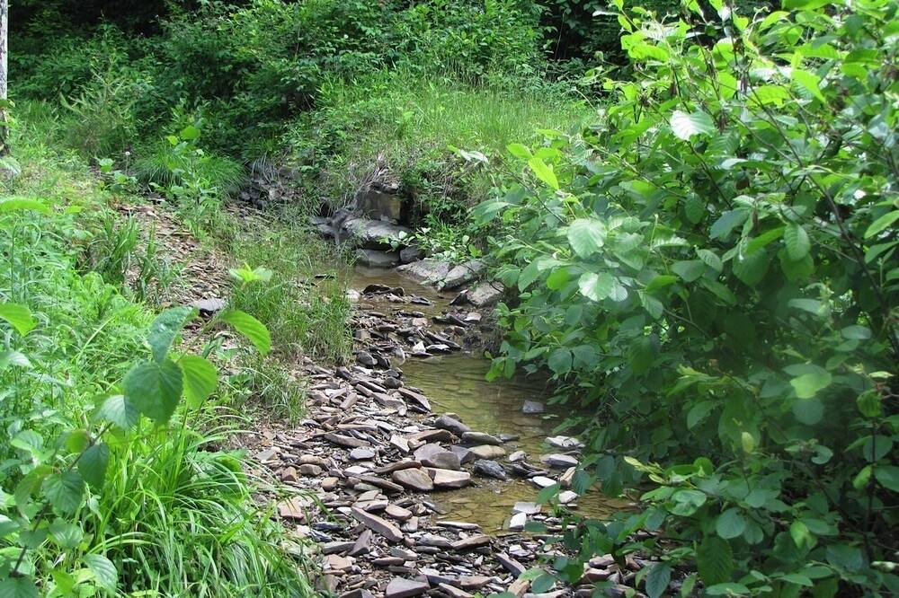 Photo of Outdoor in Dailey