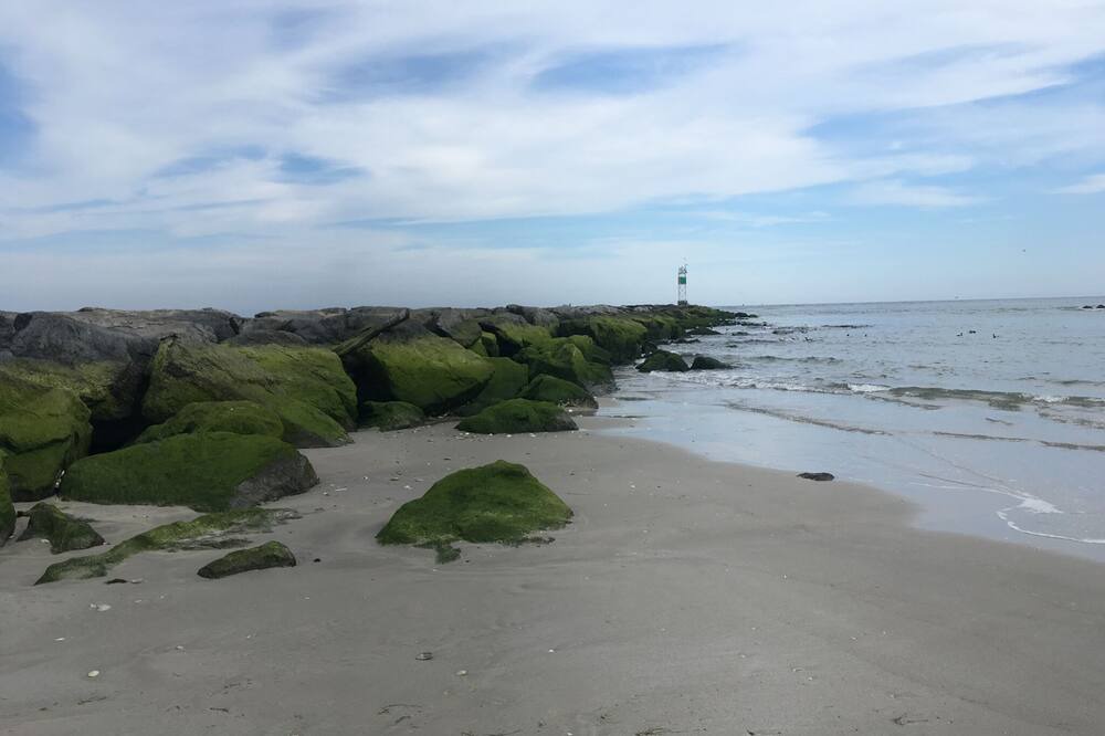 Photo of Others in Point Pleasant - Toms River