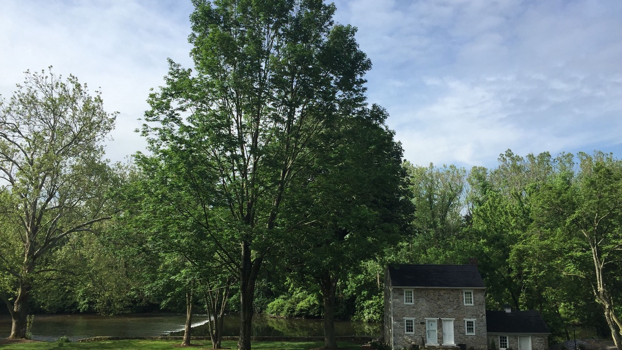 Photo of Outdoor in Boiling Springs