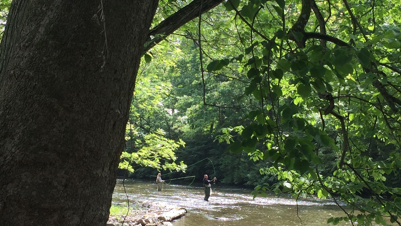 Photo of Outdoor in Boiling Springs