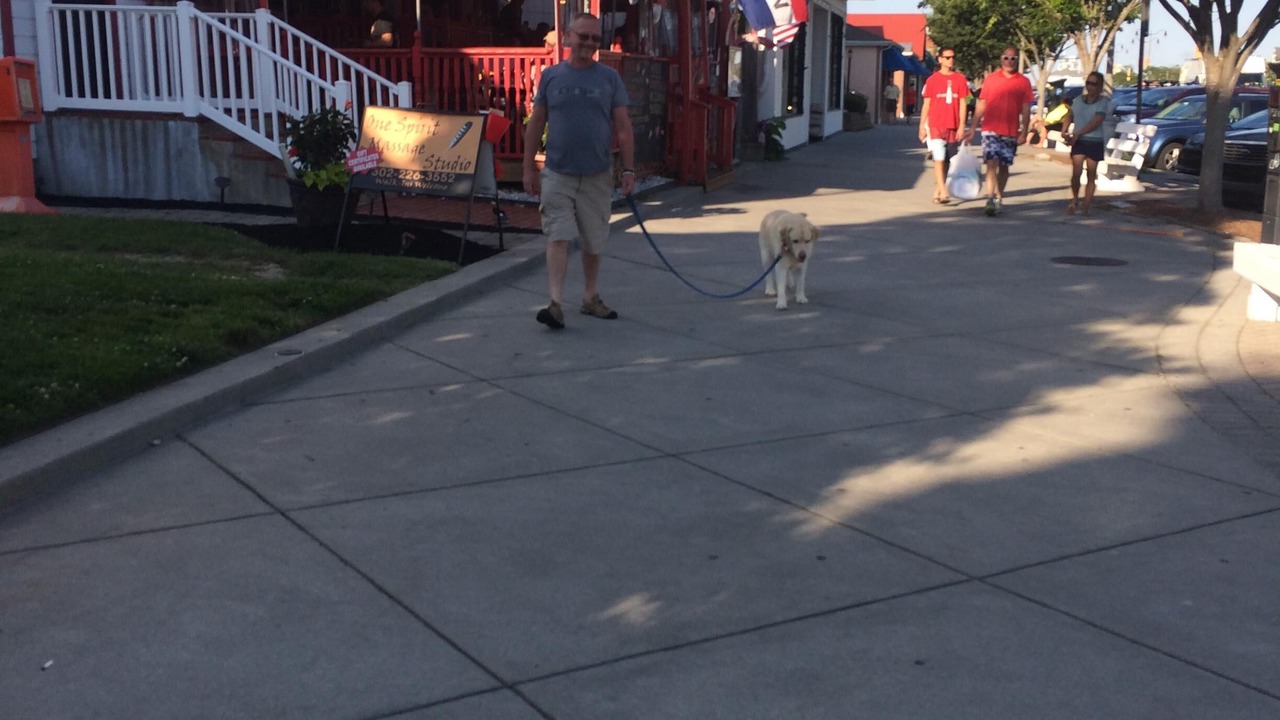 Photo of Outdoor in Rehoboth Beach