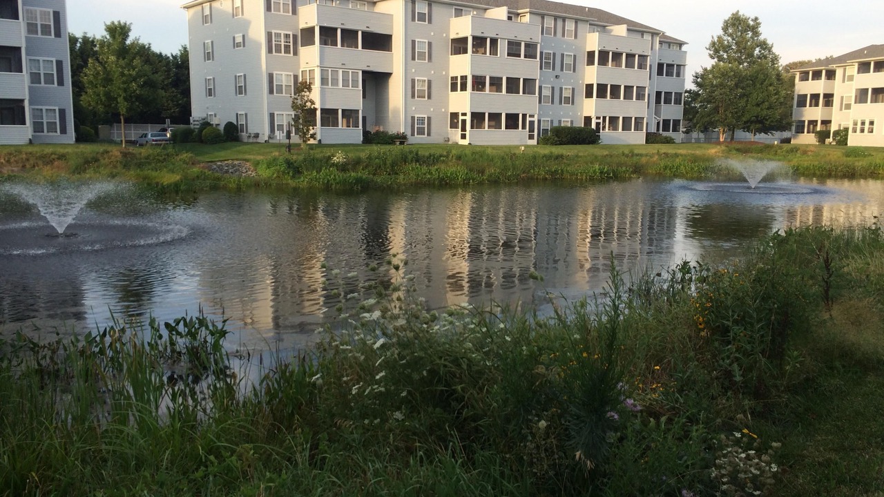 Photo of Outdoor in Rehoboth Beach