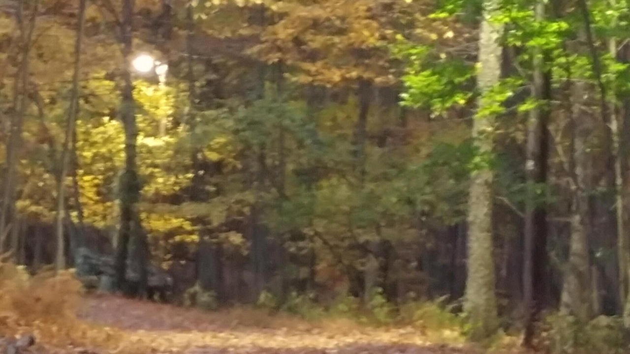Photo of Outdoor in Cresco