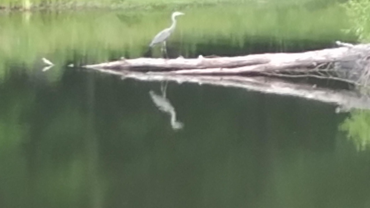 Photo of Others in Cresco