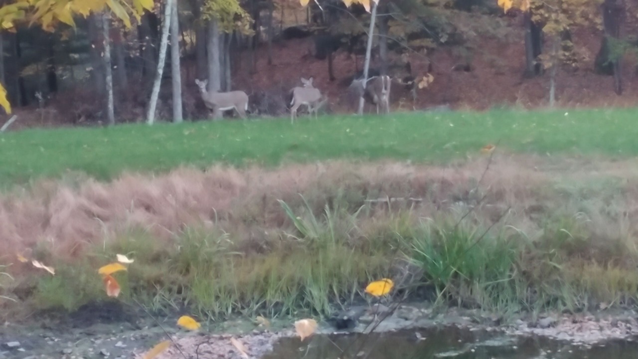 Photo of Outdoor in Cresco