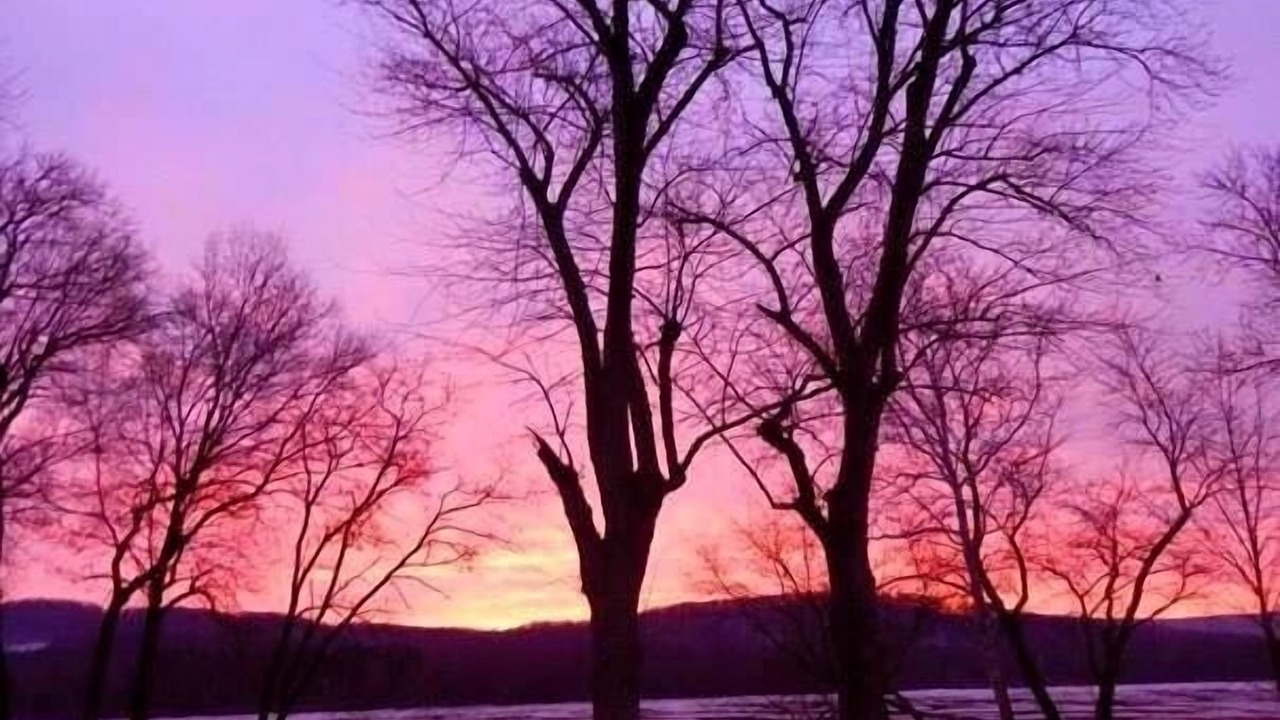Photo of Outdoor in Selinsgrove