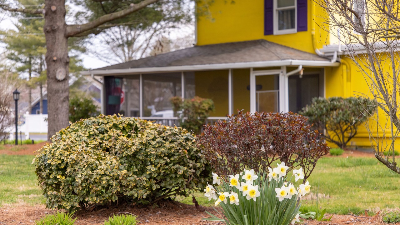Photo of Outdoor in Rehoboth Beach