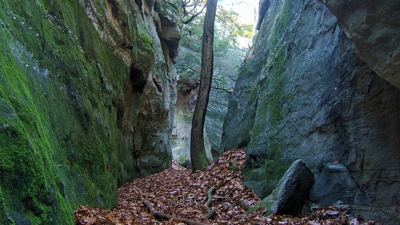 Photo of Others in Rowlesburg