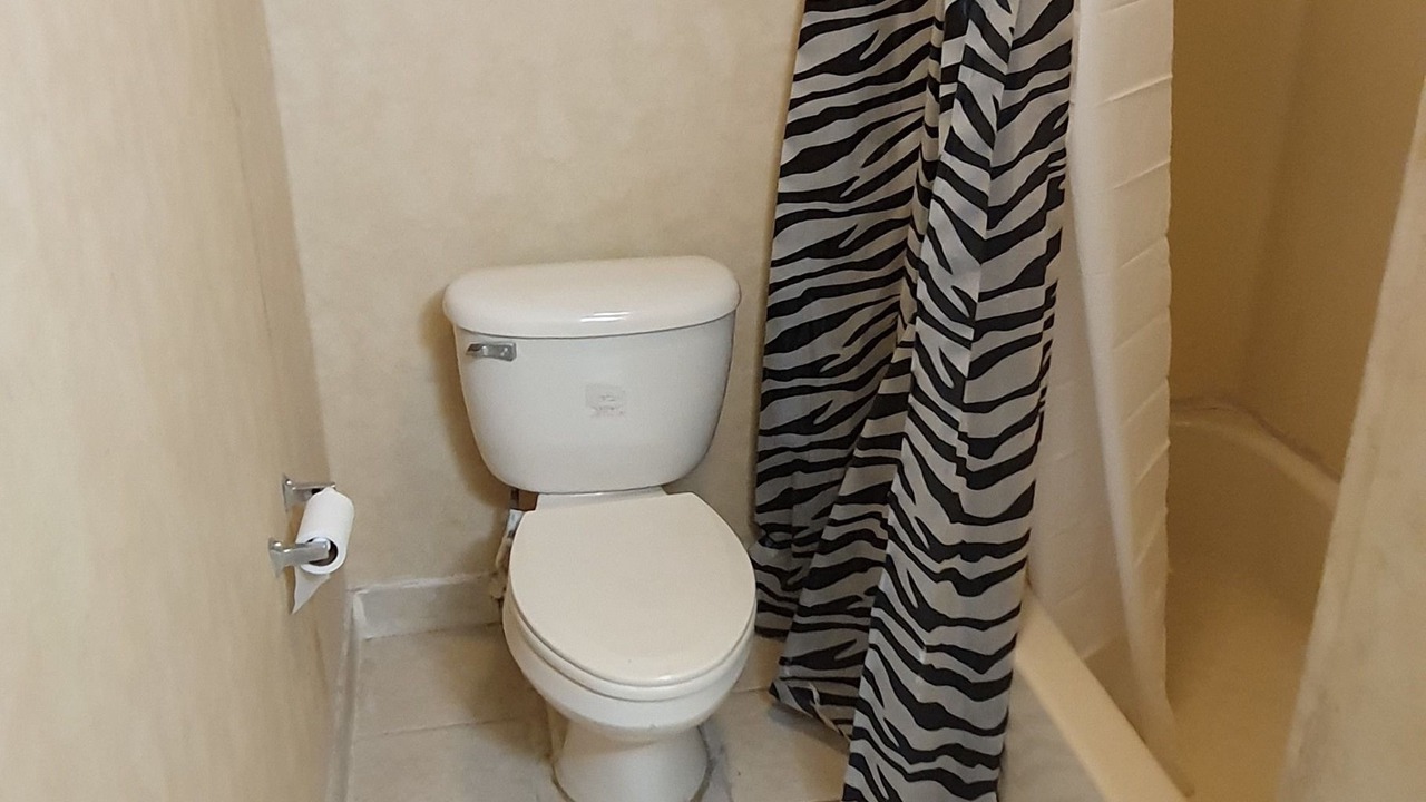 Photo of Bathroom in Absecon
