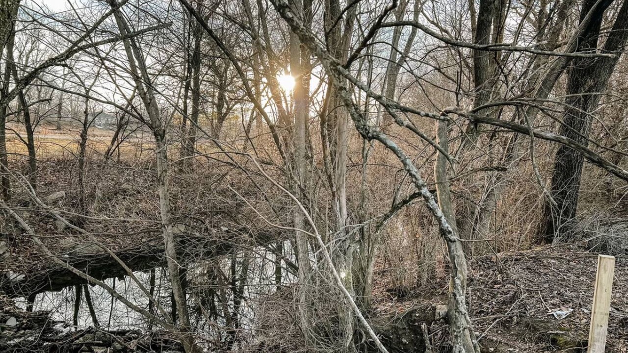 Photo of Others in West Newton