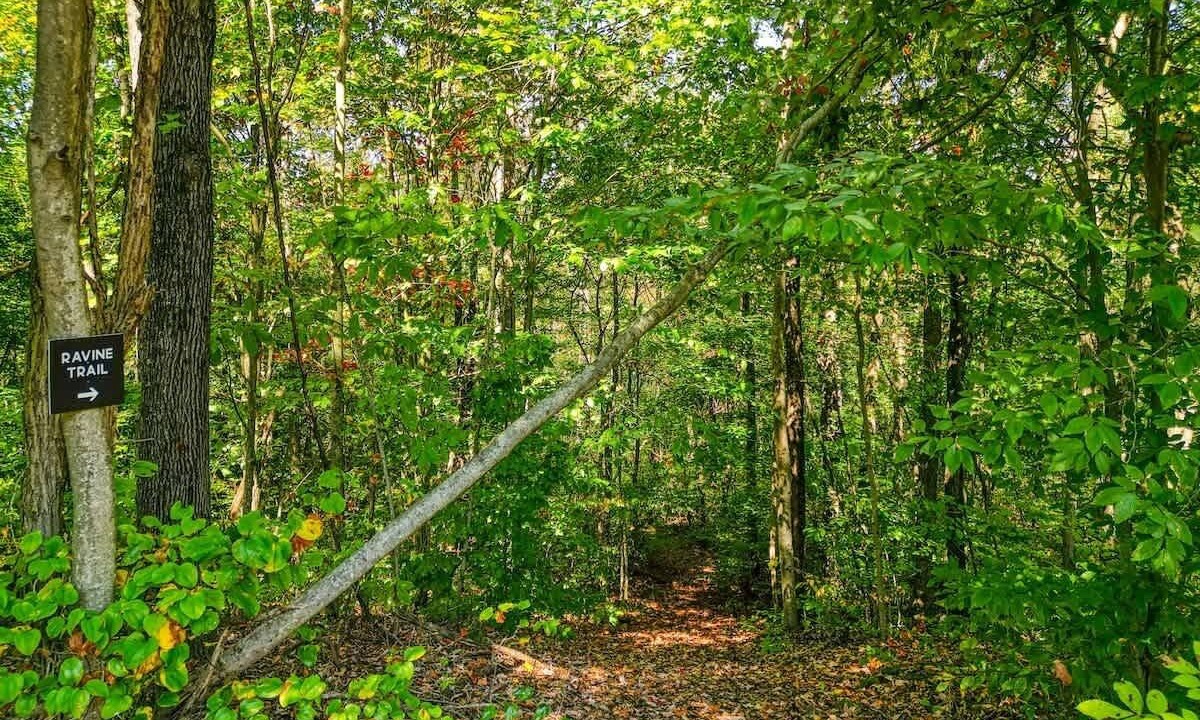Photo of Outdoor in Nelsonville