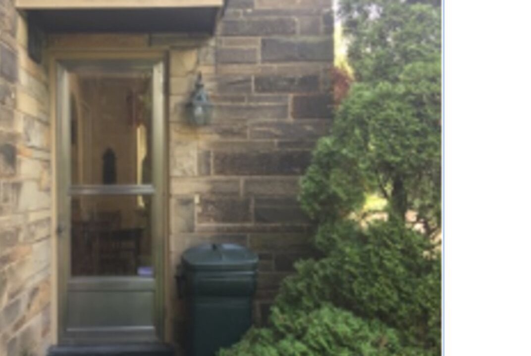 Photo of Outdoor in Forest Hills