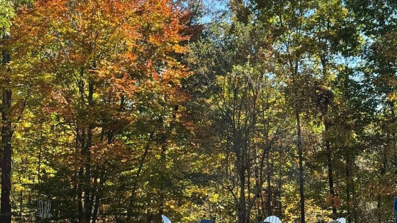 Photo of Outdoor in Mount Marion