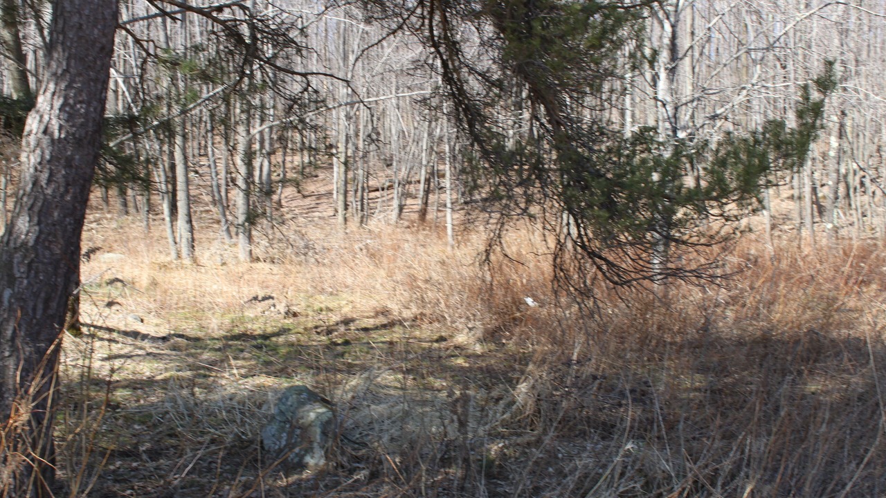 Photo of Others in Lakewood